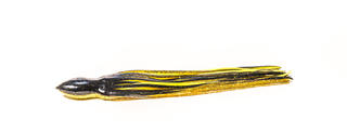 EXOCET ICE FREEDOM
