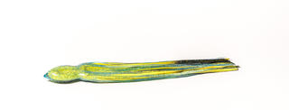 ARGONAUT ICE CONTENDER