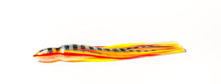 D SHACKLE KOI