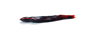 VOLCANO TEASER PIMPERNEL
