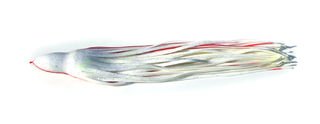 D SHACKLE WHITE NOISE