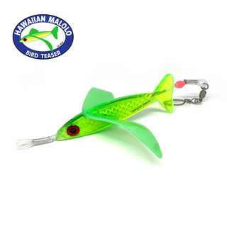 Hawaiian Malolo Bird - Neon Frog