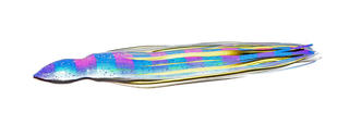 THE HEAT NAUTIC