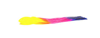 COLOUR 08 Rainbow