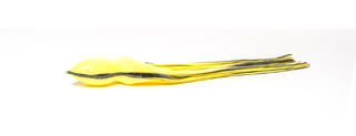 COLOUR 14 Yellow/Black Stripes