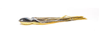 COLOUR 19 Black/Gold
