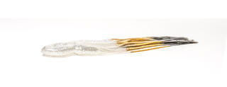 COLOUR 24 Silver/Black/Gold