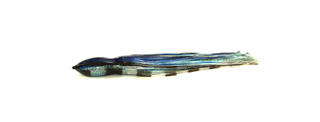 MONGREL DOG SAURY