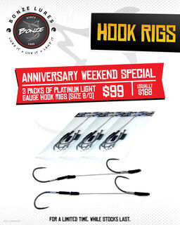 Special - Hook Rigs x3
